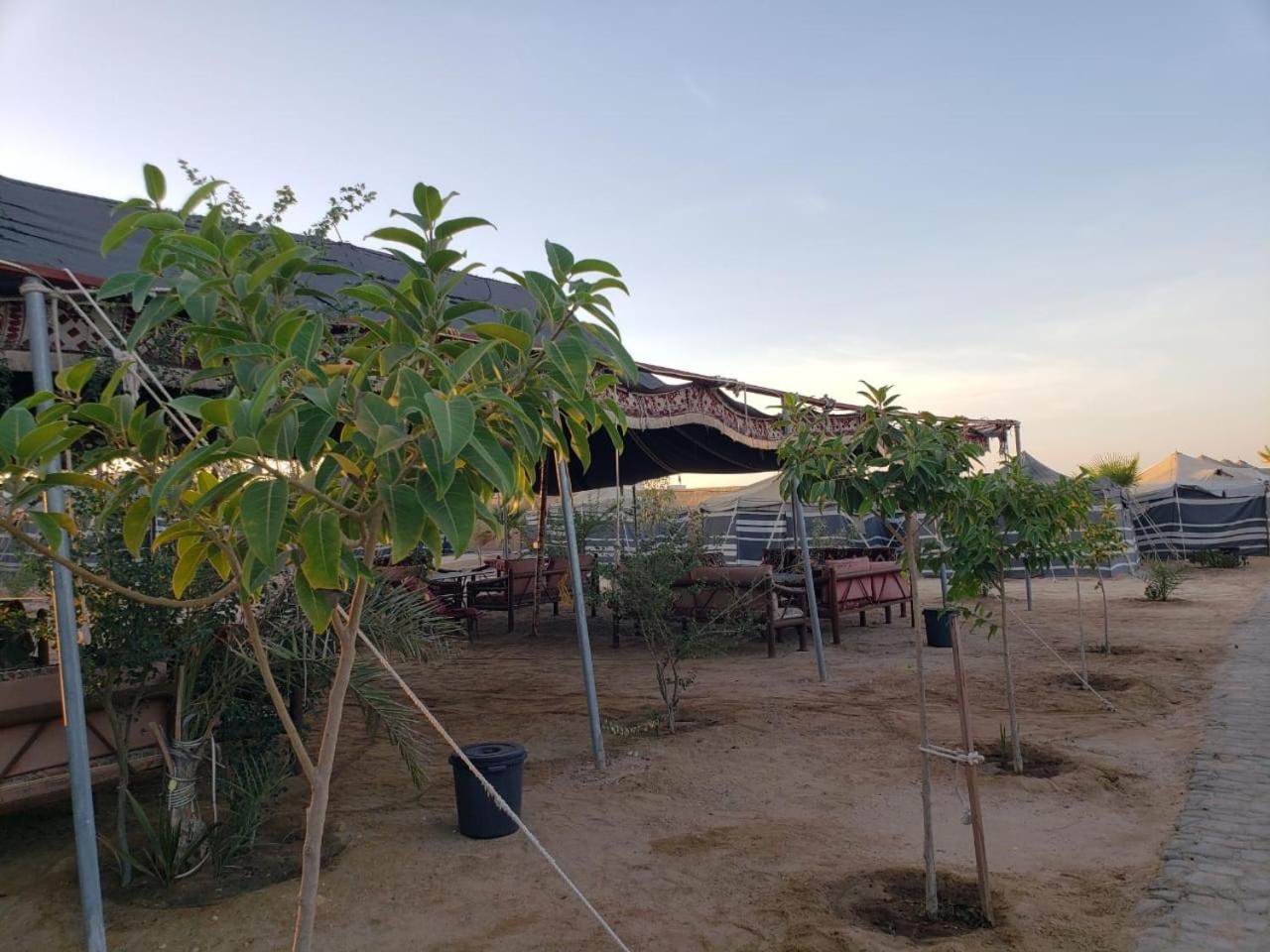 Royal Tours Permanent Camp Umm Lajj Exterior foto